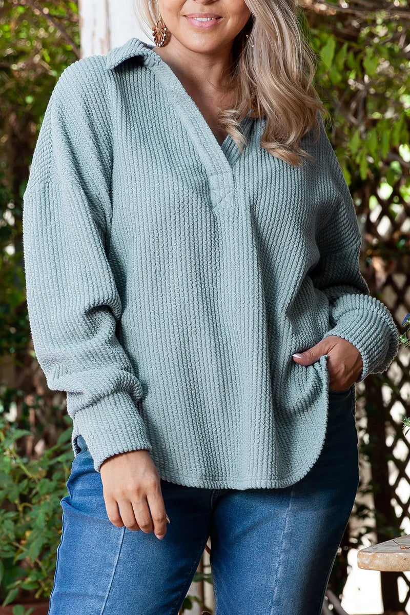 Plus size textured Johnny collar long sleeve sweatshirt in light blue, slightly stretchy fabric.